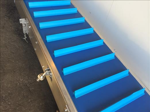 Flighted elevator conveyor