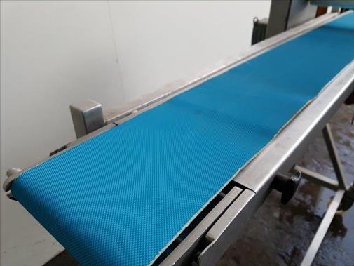 Stainless conveyor 