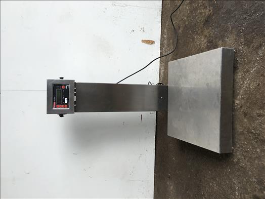 tabletop platform scales