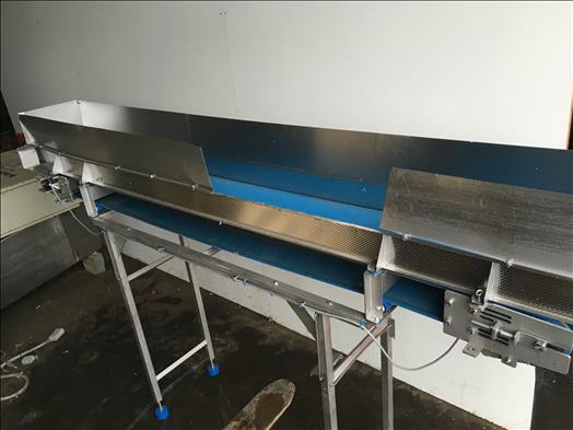 Stainless trough conveyor