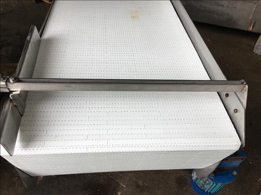 stainless conveyor