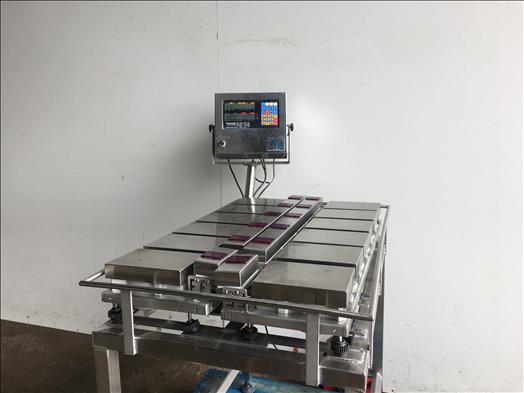 Stainless platform scale