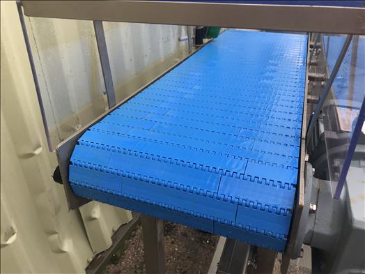 Stainless conveyor