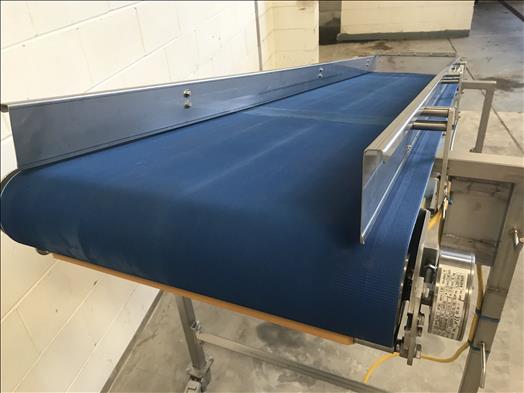 Stainless conveyor