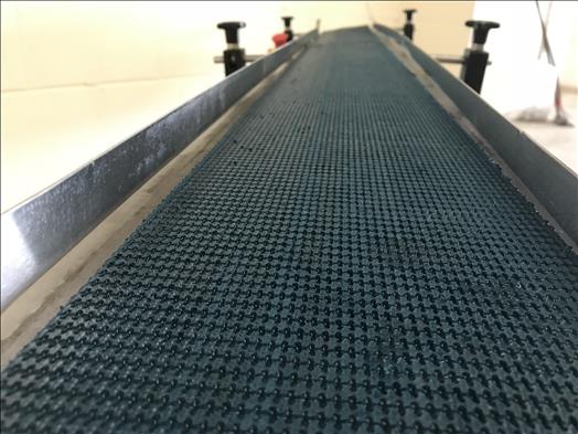 Stainless conveyor