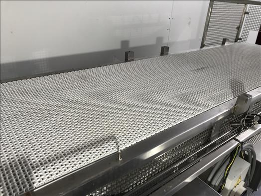 Stainless conveyor