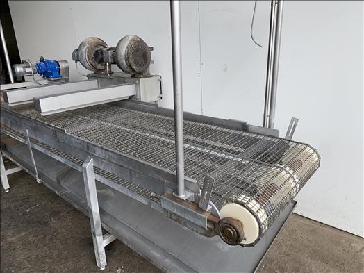 Stainless mesh conveyor