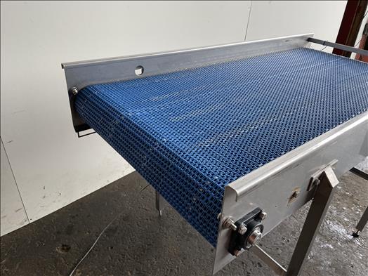 Stainless conveyor