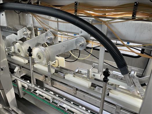 Fish gutting machine