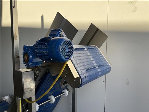 Flighted elevator conveyor