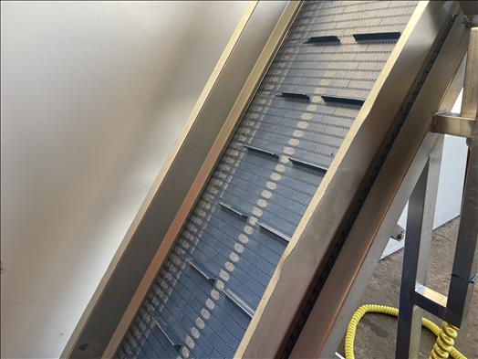 Flighted elevator conveyor