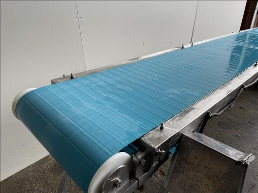 Stainless conveyor