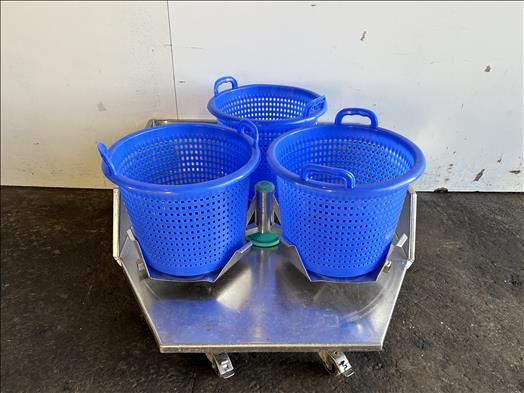 Salad basket spinner
