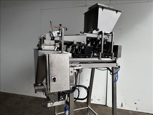 Two lane linear weigher