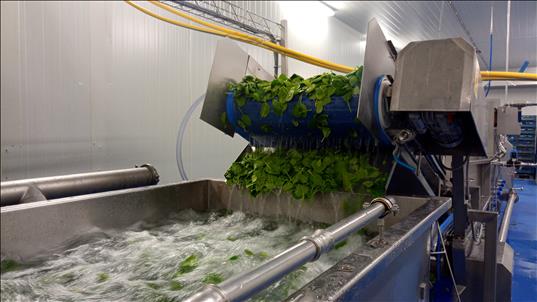 Washing and drying line