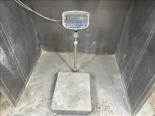 Platform scale