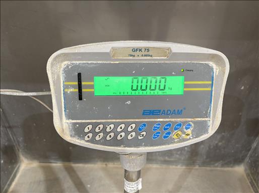 Platform scale