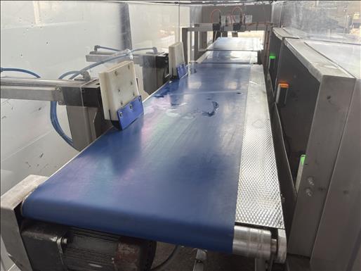 Metal detector checkweigher