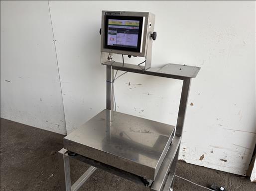 Platform scale