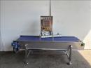 NNP Twin lane conveyor