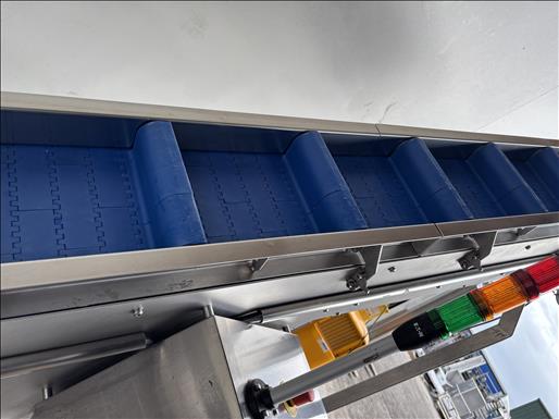Flighted elevator conveyor